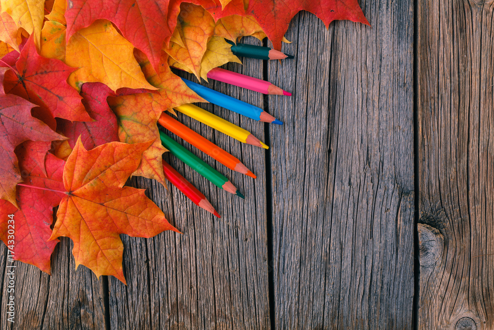 Canvas Prints fall background with maple leaves on wood table