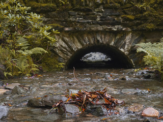 Fall orange dry leafs in a stream, old stone bridge in the background.