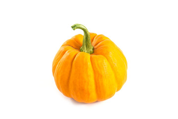 Little decorative orange pumpkin
