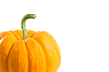 Close-up shot of a small decorative orange pumpkin