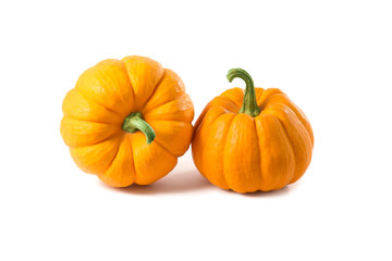 Studio shot of two decorative orange pumpkins
