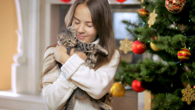 Portrait of cute smiling girl celebrating Christmas with cute grey kitten