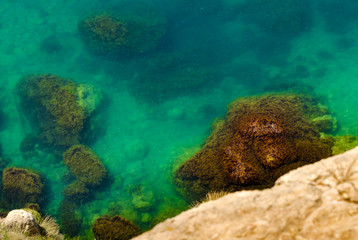 Azure ocean sea water on coral seaside scope