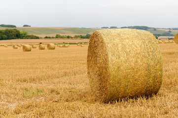 Fototapeta na wymiar Large bales of hay in a field after harvesting