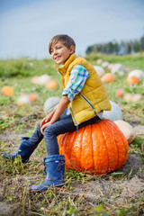 Boy having fun with pumpkins on pumpkin patch on farm