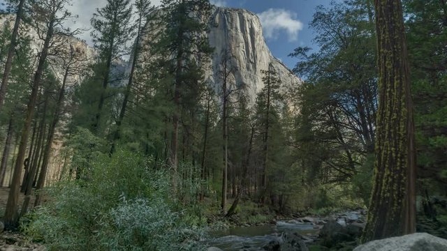 El Capitan Sentinal Meadow. Moving time-lapse tilting up from the meadow to the face of the mountain in Yosemite National Park.