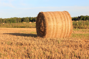 Fototapeta premium Straw bale