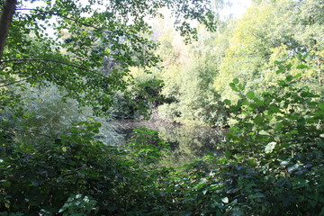 Sevenoaks nature reserve - Autumn 22