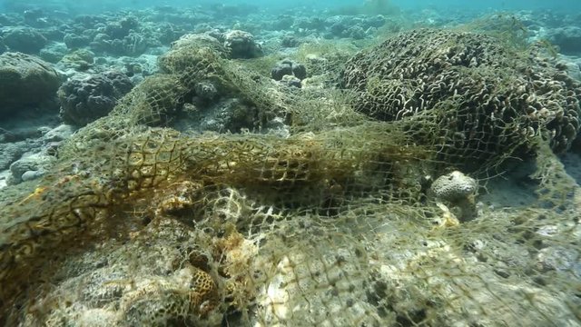 Old fishing net tangled on coral reef at Maratua Island, Kalimantan 