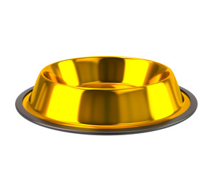Golden pet bowl