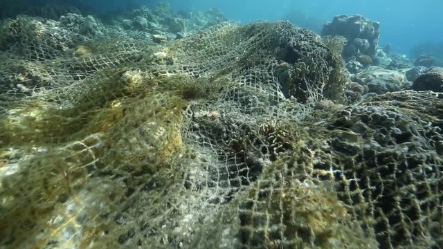 Old fishing net tangled on coral reef at Maratua Island, Kalimantan 