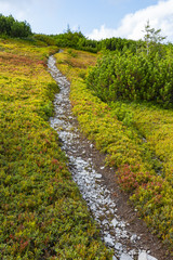 Fototapeta na wymiar Mountains tourist pathway