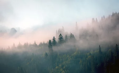 Abwaschbare Fototapete Morgen mit Nebel Morgennebel im Bergwald