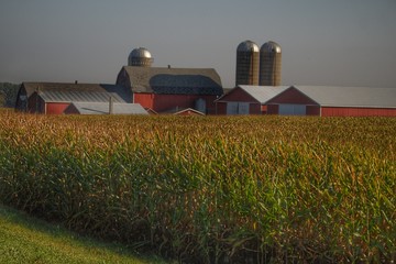 0104 - Slattery Road Farm and Cornfield II (0104-BAR-092617-0936A)