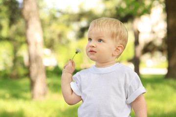 Cute baby boy with dandelion in green park on sunny day