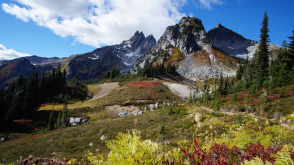 Obraz premium Fall in the Pacific Northwest