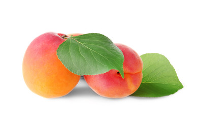 Fresh apricots on white background
