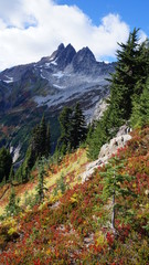 Fall in the Pacific Northwest