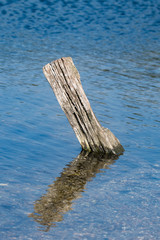 Single wooden post in shallow river water with reflection in summer