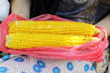 two huge boiled cobs of corn. Krasnodar Territory, Russia.