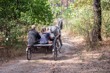 Beautiful dappled-grey horse harnessed by sulky cart with three riders going fast through autumn...