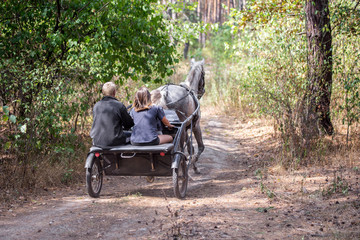 Beautiful dappled-grey horse harnessed by sulky cart with three riders going fast through autumn forest on a dust rural toad, back view