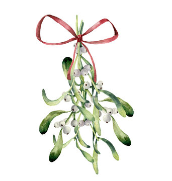 Watercolor mistletoe composition. Hand painted mistletoe bouquet of branch with white berry and red bow isolated on white background. Christmas clip art for design or print. Holiday illustration.