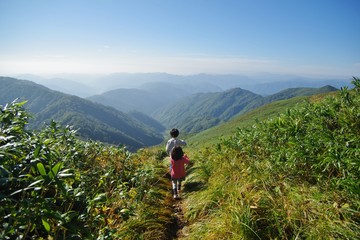 Fototapeta na wymiar 森林限界の高山を歩く登山者
