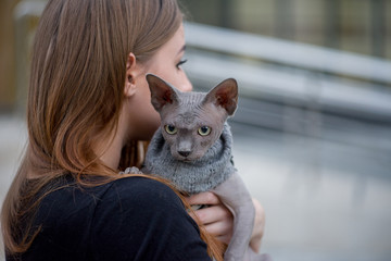 young girl with her lovely sphynx
