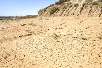 landscape of a dry land on a summer day