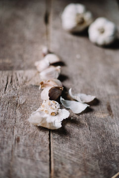 Garlic in many ways