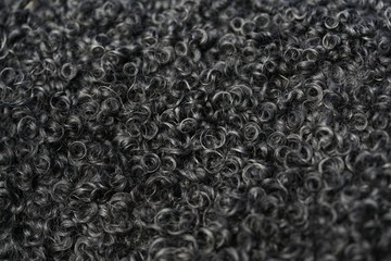Black soft wool texture close up of sheep