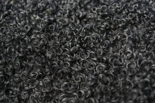 Black Soft Wool Texture Close Up Of Sheep