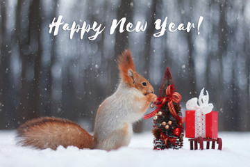 The red squirrel decorates a Christmas tree a card Happy New Year © Helga P-A.