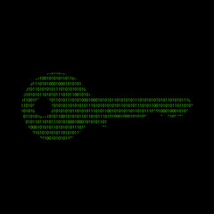 Hacker - 101011010 Icon - Schlüssel