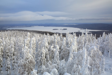 Winter landscape. Snowy forest as seen from the top of the mountain Belaya. Ural mountains,...