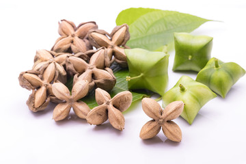 sacha inchi, sacha peanut, mountain peanut, Inca nut or Inca-peanut isolate on white background