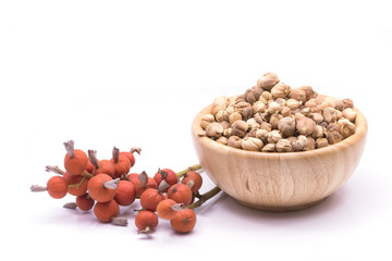 Herbs food, Amomum krervanh Pierre,Siam Cardamom, Best Cardamom, Clustered Cardamom, Camphor Seed,Zingiberaceae on white background