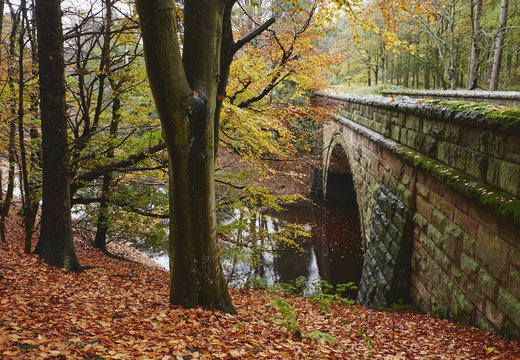 Stone bridge and autumnal woodland. Derbyshire, UK.