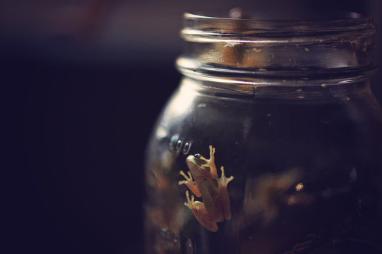 escape