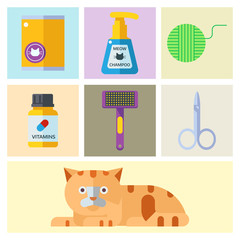 Colorful cat accessory cute vector animal icons pet equipment food domestic feline illustration.