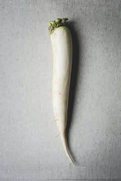 Winter radish
