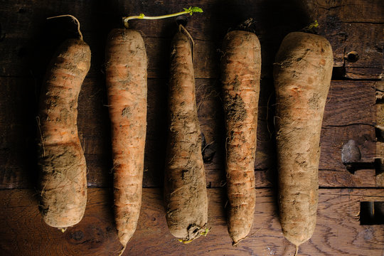 Muddy carrots on a wood background.