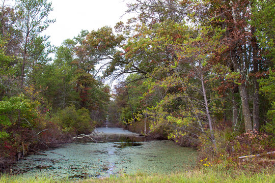 Stream or creek in Necedah National Wildlife Refuge in Wisconsin