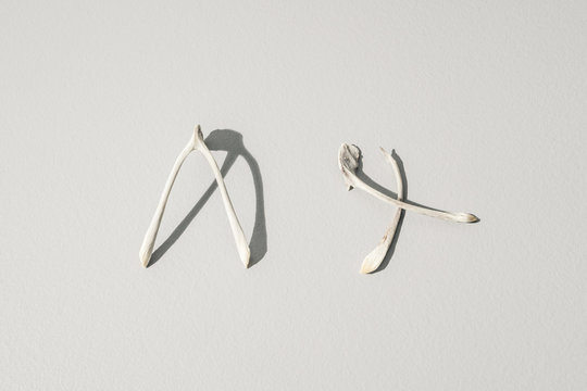 Collection of Superstitious Wishes, Bird Wishbones
