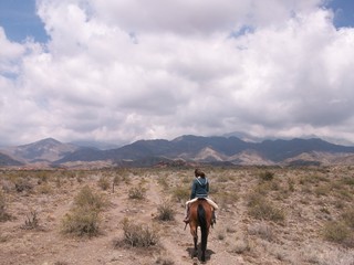 Fototapeta premium Cabalgata en Mendoza, Argentina