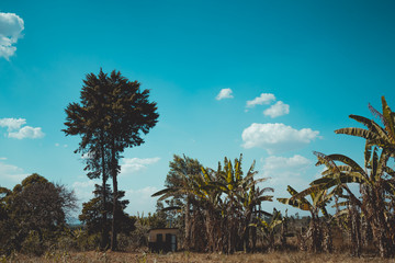 Uganda © Erik Burdett