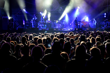Obraz na płótnie Canvas Crowd in a concert