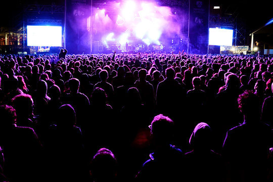 crowd in a concert