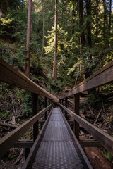 Redwood Bridge